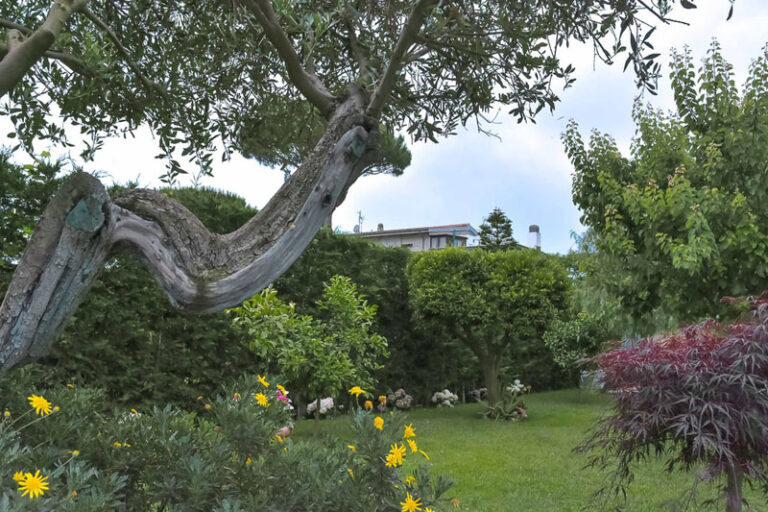 B&B A Casa di Titty Fiumicino Isola Sacra vicino aeroporto da vinci fiera di roma esterni 17